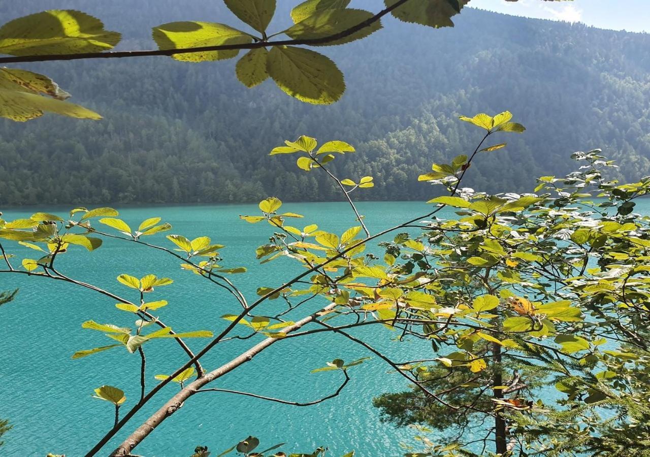 Haus Kraller-Urlaub Mit Seeblick Millstatt Exteriör bild