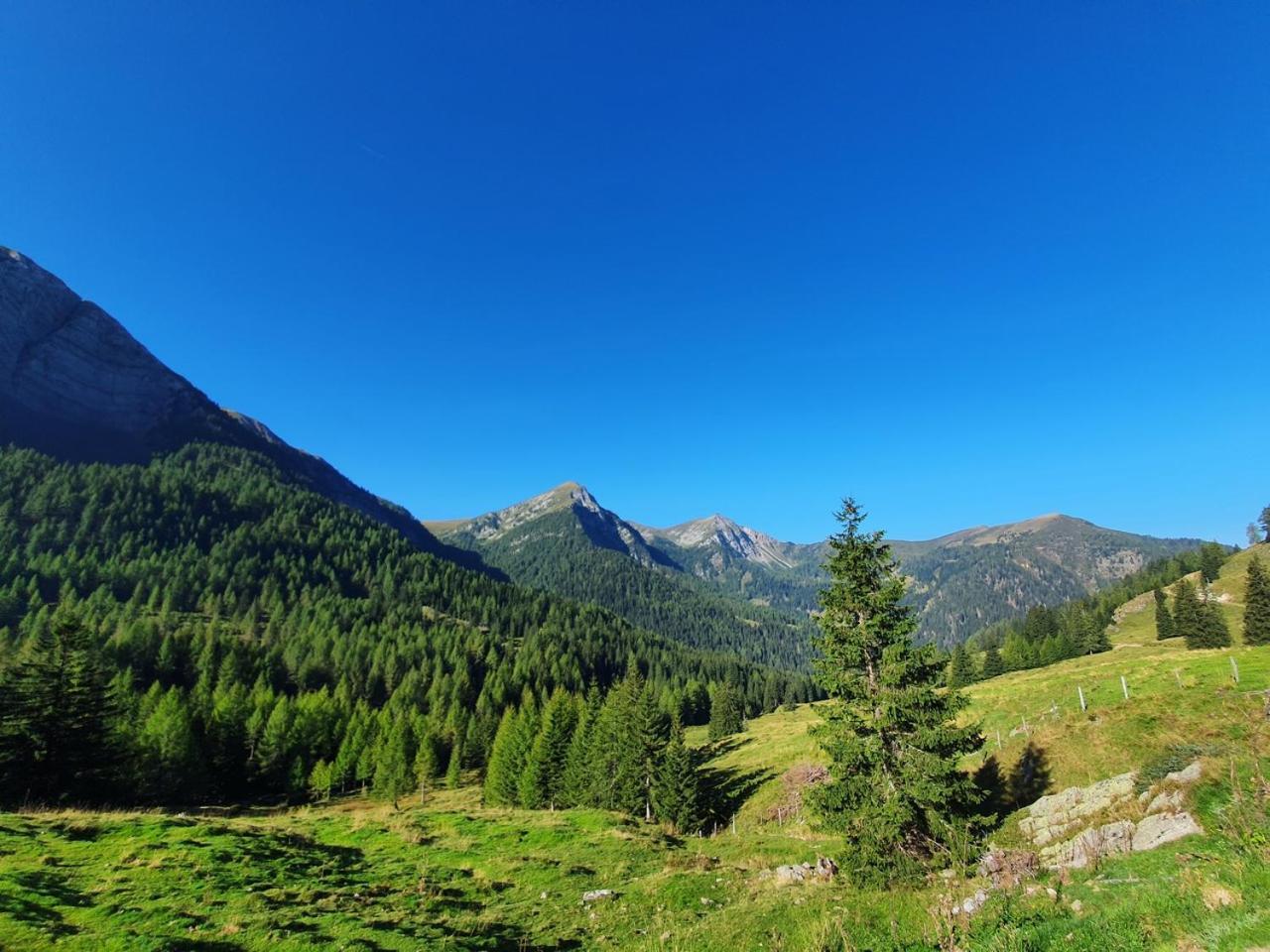 Haus Kraller-Urlaub Mit Seeblick Millstatt Exteriör bild